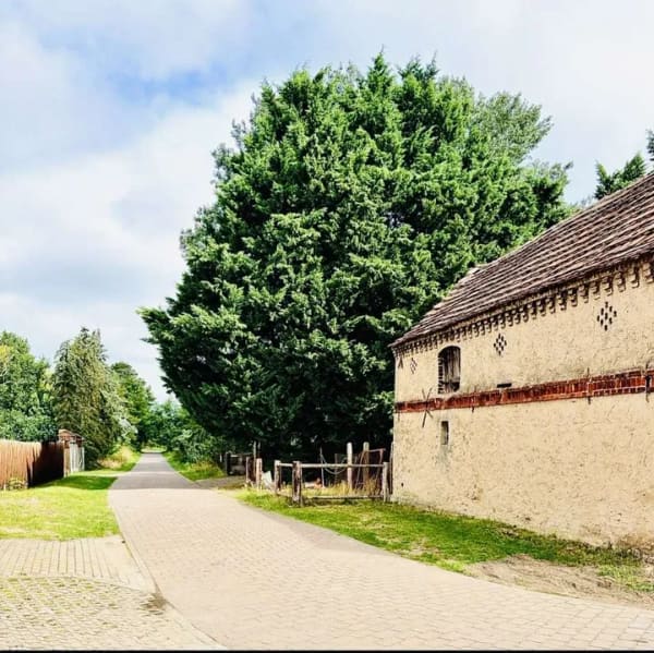 Immobilie in Fehrbellin - Einfamilienhaus in Linum - Bild 4