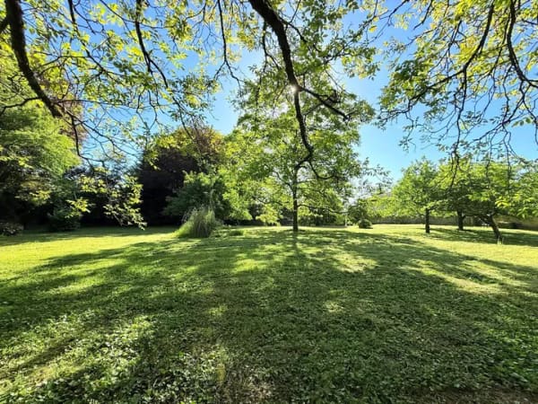 Immobilie in Merzig - Landglück - Wohnhaus in exponierter Lage mit über 4.200 m² Grundstück - Bild 3