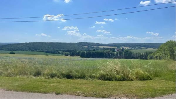 Immobilie in Wilsdruff - Idyllisches Wohnen auf großem Grundstück - Bild 4