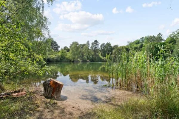Immobilie in Am Mellensee - Mein Haus am See – Leben, wo andere Urlaub machen - Bild 0