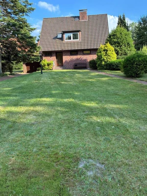 Immobilie in Undeloh - Haus mit Keller und Garage auf einem großen Grundstück - Bild 1