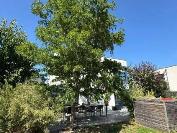 Immobilie in Bubesheim - Wo Wohnen zum Urlaub wird - Einfamilienhaus mit traumhaftem Pool - Bild 1
