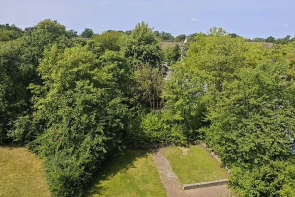 Immobilie in Wolfsburg - Single- und seniorenfreundliches Wohnen in Wolfsburg-Laagberg - Bild 1