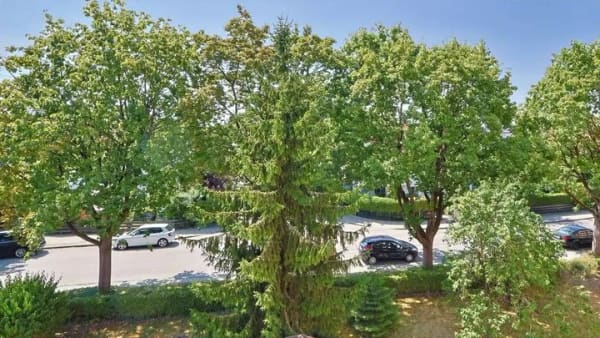 Immobilie in Karlsfeld - Eine Wohnung mit Potential! - Bild 3
