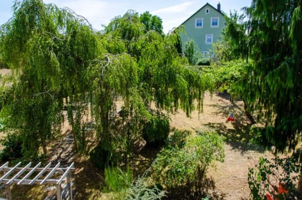 Immobilie in Schnaittenbach - Wohnen mit viel Freiraum: Großzügiges Wohnhaus auf 1.313 m² Grundstück mit weitläufigem Garten - Bild 4