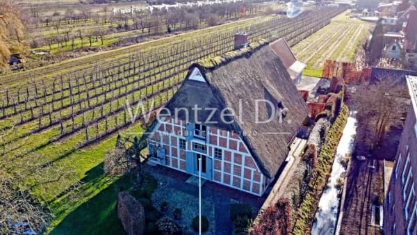 Immobilie in Grünendeich - Aufwendig saniertes Fachwerk-Unikat in direkter Elbnähe zum Kauf in Grünendeich - Wentzel Dr. - Bild 2
