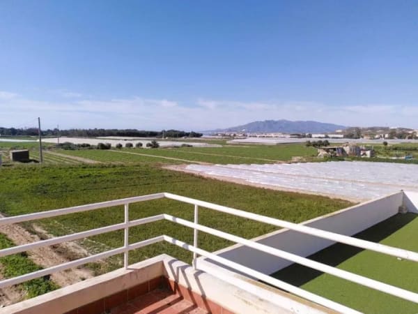 Immobilie in Langenleuba-Niederhain - Penthouse - Cuevas del Almanzora - Bild 1