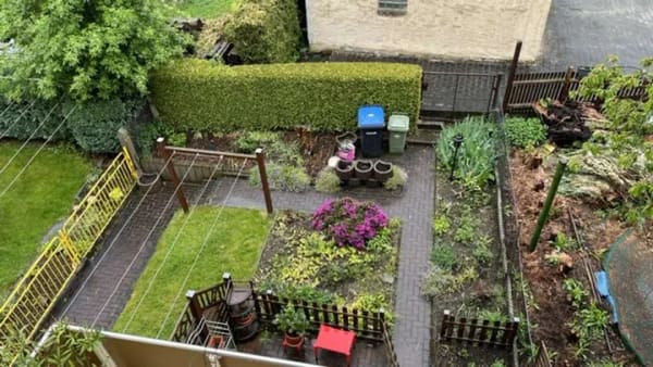 Immobilie in Altenburg - Die clevere Altersvorsorge - saniertes Mehrfamilienhaus in Altenburg - Bild 2