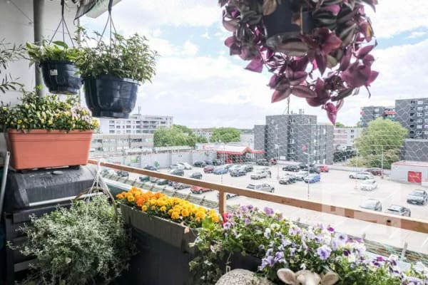 Immobilie in Monheim am Rhein - - Drei Zimmer, 71 m² und zentral – 
attraktive Kapitalanlage in Monheim am Rhein - Bild 0