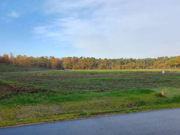 Immobilie in Hodenhagen - Inkl. Grundstück, ein Komforthaus für jedermann in Hodenhagen. - Bild 2