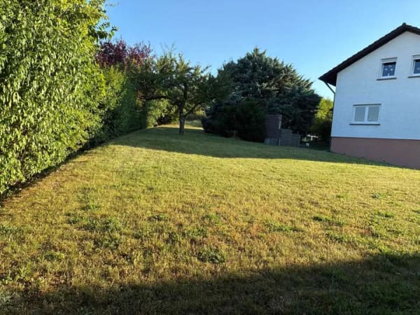 Immobilie in Kirchardt - Idylle - Landleben pur,  viel Platz im Innen-Außenbereich. Lässt Träume wahr werden. Privatverkauf. - Bild 3