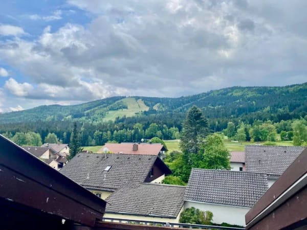 Immobilie in Bischofsmais - Top gepflegt ! Mehrfamilienhaus in Bischofsmais-Habischried - Bild 2