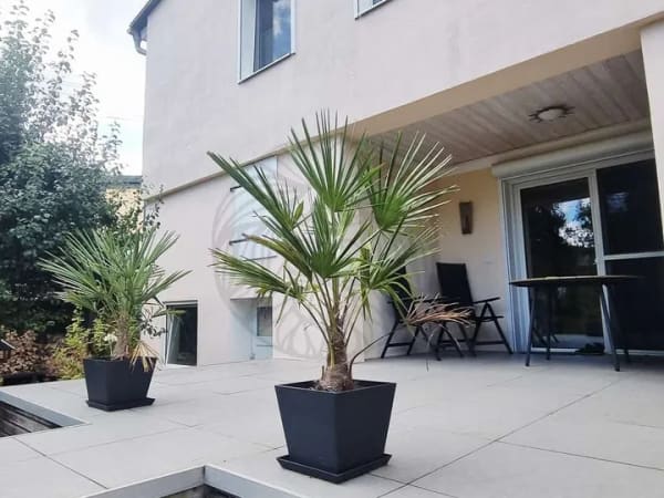 Immobilie in Ransbach-Baumbach - Ransbach-Baumbach: die alternative zum Neubau- gepflegtes Einfamilienhaus mit Garten  - Bild 4