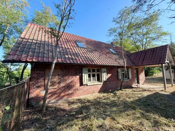 Immobilie in Werben (Elbe) - Viel Platz für neue Ideen – Wohnhaus auf über 8.000 m² Grundstück - Bild 1