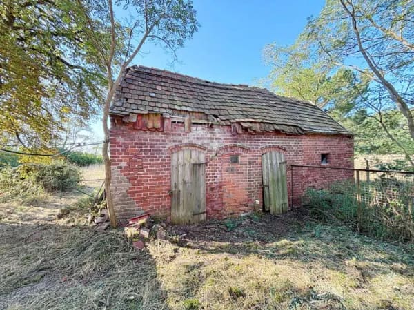 Immobilie in Werben (Elbe) - Viel Platz für neue Ideen – Wohnhaus auf über 8.000 m² Grundstück - Bild 3