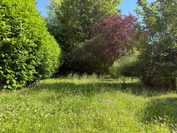 Immobilie in Egelsbach - Viel Platz, viel Charme, viele Möglichkeiten - Einfamilienhaus in zentraler Lage von Egelsbach - Bild 2