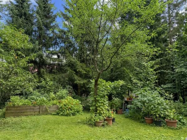 Immobilie in Leiferde - Kleines Nurda-Haus, 1.510 qm Grundstück-inmitten in der Natur - Bild 0