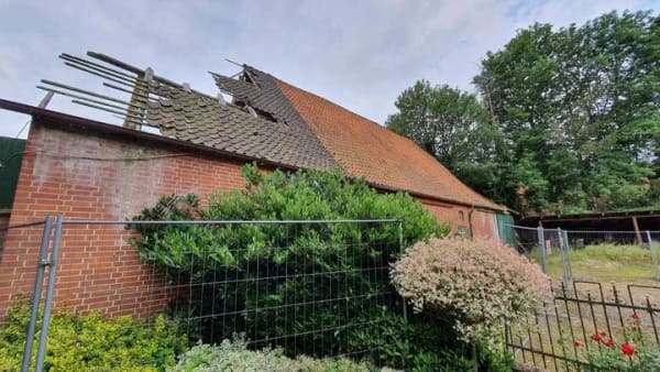Immobilie in Frankenfeld - Resthof mit Waldflächen sowie weiteren Flächen in 27336 Frankenfeld OT Heddern nahe der Aller - Bild 1