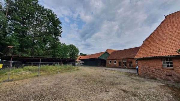 Immobilie in Frankenfeld - Resthof mit Waldflächen sowie weiteren Flächen in 27336 Frankenfeld OT Heddern nahe der Aller - Bild 3