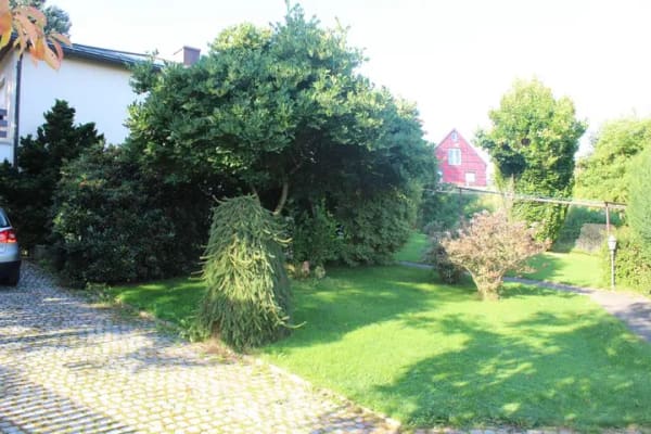 Immobilie in Grünhainichen - Einfamilienhaus in Grünhainichen - Bild 4