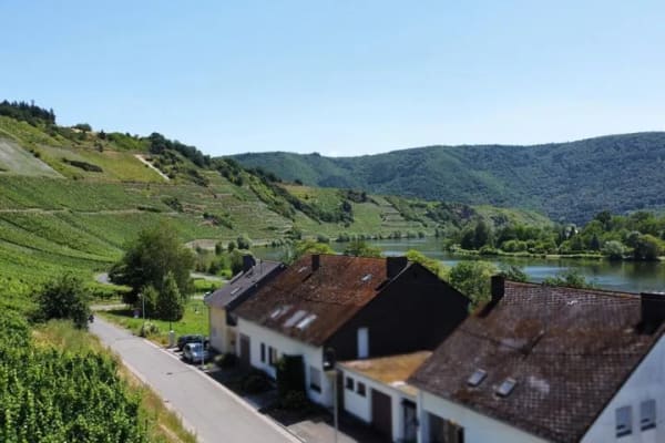 Immobilie in Mehring - Penthouse in Mehring - Bild 0
