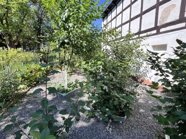 Immobilie in Langenbernsdorf - Einfamilienhaus mit viel Platz für eine große Familie in Langenbernsdorf - Bild 2