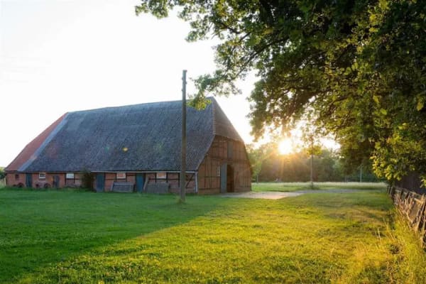 Immobilie in Amt Neuhaus - Historisches Bauernhaus mit Scheune & 2,5 ha Grundstück - Bild 3