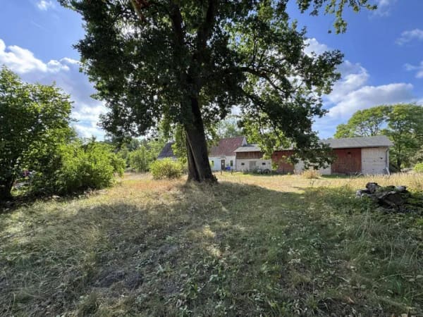 Immobilie in Karwitz - Wo Pferd und Wagen zu Hause waren - Bild 0