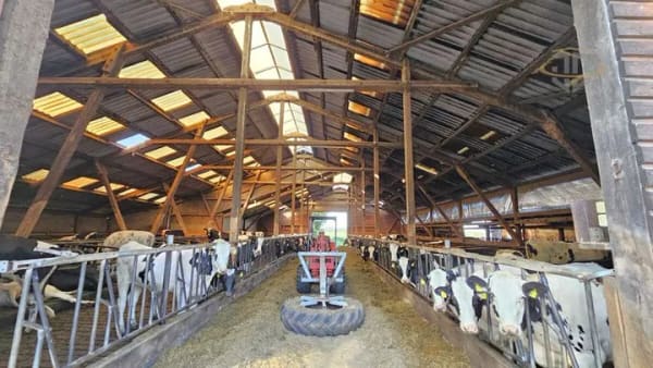 Immobilie in Schiffdorf - Großzügiges Hofanwesen in Ortsrandlage - Wohnhaus, 6 Nebengebäude und ca. 2 ha Grundstück - Bild 4