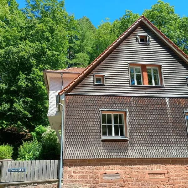 Immobilie in Grasellenbach - HISTORISCHES FORSTHAUS IN ALLEINLAGE - WALD · QUELLE · SCHEUNE · 16.000 M² GRUNDSTÜCK 64689 GRASELLE - Bild 4