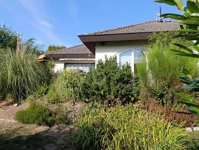 Immobilie in Willstätt - HELLER BUNGALOW MIT GARTENOASE & WINTERGARTEN - Bild 0
