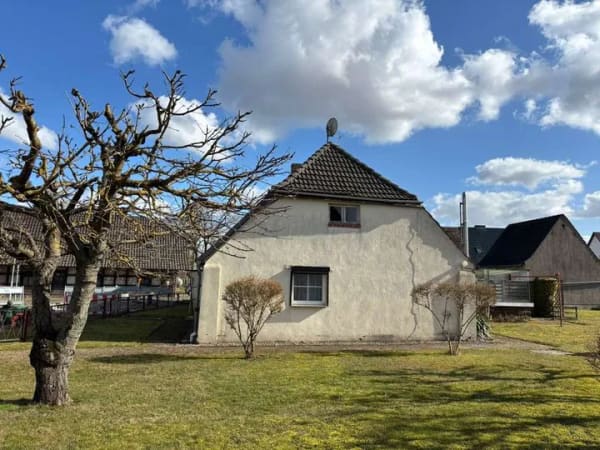 Immobilie in Knorrendorf - Platz für Ideen! Freistehendes Einfamilienhaus mit großer Ausbaureserve & Garten - Bild 4