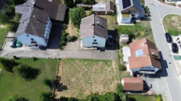 Immobilie in Dettingen an der Iller - Lichtdurchflutetes Raumwunder mit tollem Grundstück in Dettingen - Bild 1
