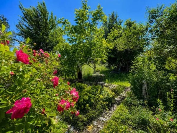 Immobilie in Breitbrunn am Chiemsee - Alpenpanorama & Chiemsee-Flair – Ihr neues Zuhause in privilegierter Lage - Bild 2
