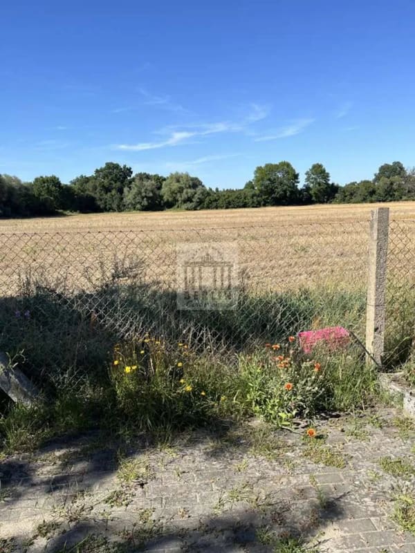 Immobilie in Calau - gepflegte, bezahlbare Doppelhaushälfte in Mallenchen - Bild 4