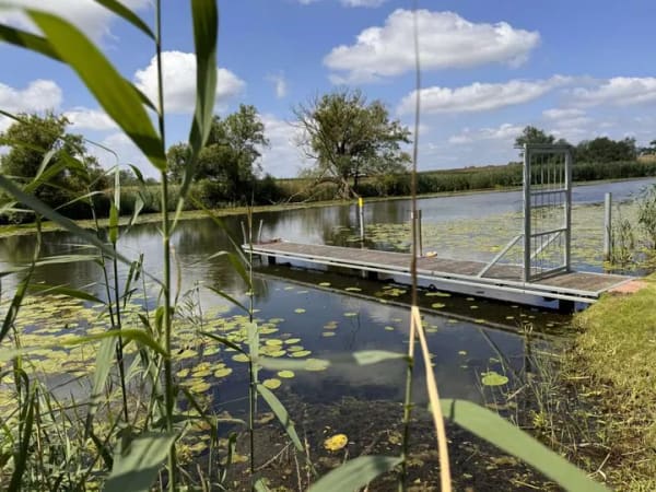 Immobilie in Elbe-Parey - Wassergrundstück mit eigenem Bootsanleger - Traumhaftes Wochenendgrundstück in Elbe-Parey - Bild 0