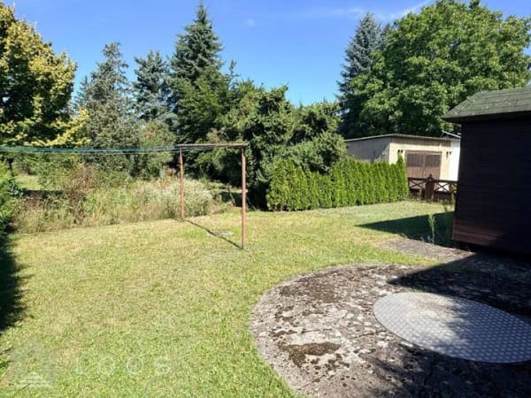 Immobilie in Tröbitz - 9 Zimmer, viel Grundstück: Haus für Familie und Generationen - Bild 3