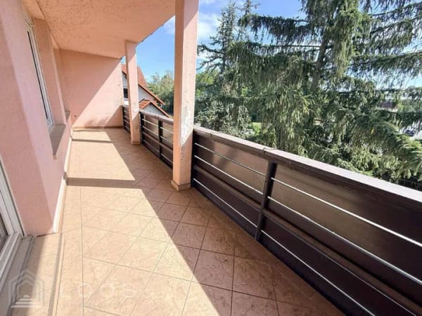 Immobilie in Tröbitz - 9 Zimmer, viel Grundstück: Haus für Familie und Generationen - Bild 4