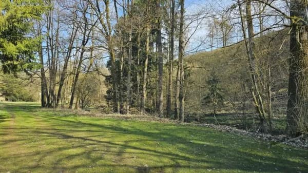 Immobilie in Rot am See - Großes Wohnhaus mit Naturcampingplatz und Nebengebäuden in idyllischer Lage | renovierungsbedürftig - Bild 3