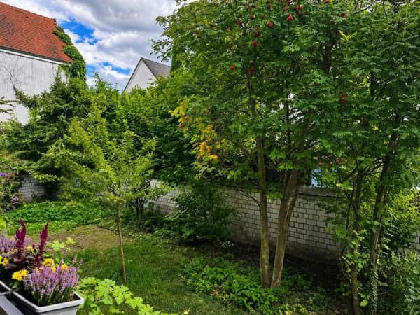 Immobilie in Bodenheim - Gut geschnittene 3-Zimmer-Wohnung mit Balkon und Gartenanteil - Bild 3