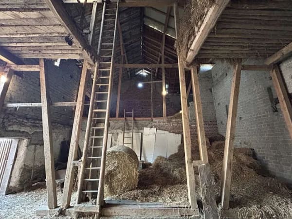 Immobilie in Girod - Bauernhaus mit großem Grundstück, Scheune & Entwicklungspotenzial - Bild 4