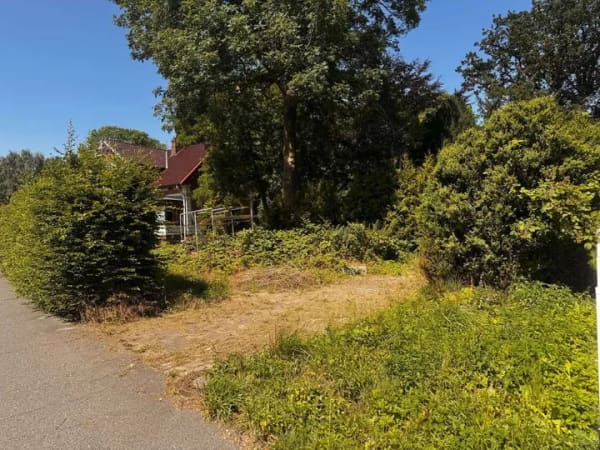 Immobilie in Sankt Margarethen - Haus mit Potenzial! Hohe Decken & traumhafter Elb- und Deichblick - Bild 1