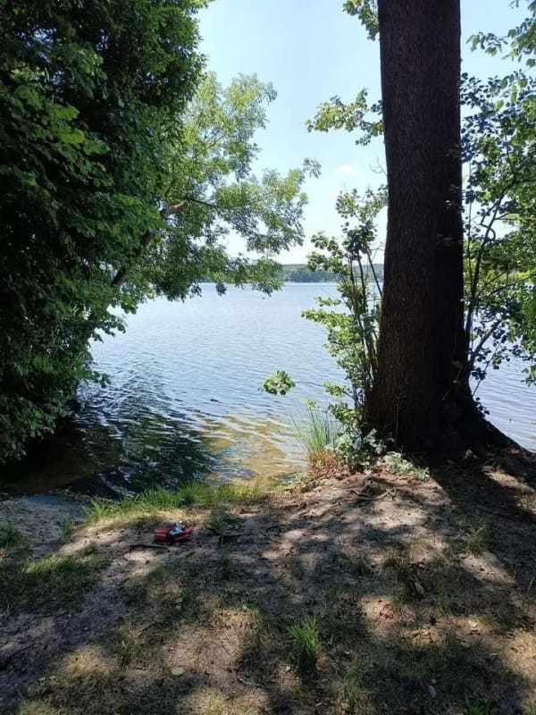 Immobilie in Mittenwalde - Wohnen mit Charakter: Bungalow in Motzen - Bild 2