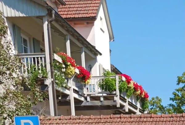 Immobilie in Dogern - Schöne 6 Zimmerwohnung in Dogern mit großem Balkon - Bild 0