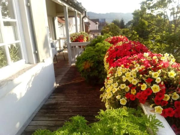 Immobilie in Dogern - Schöne 6 Zimmerwohnung in Dogern mit großem Balkon - Bild 1