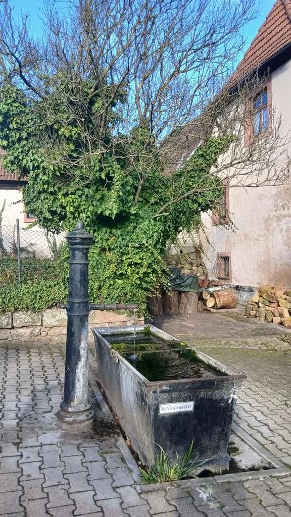 Immobilie in Sippersfeld - Platzwunder mit ländlichem Charme - Bild 1