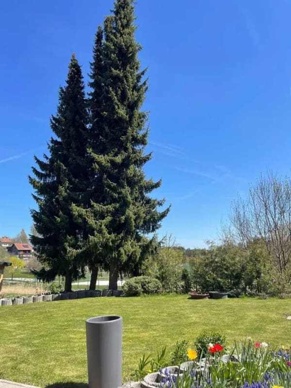 Immobilie in Spiegelau - Wohnen, vermieten, investieren - großzügiges Haus mit viel Potenzial - Bild 1