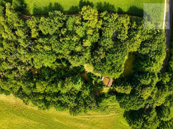 Immobilie in Hanstedt - Ein Stück Freiheit in Hanstedt – Wochenendhaus auf ca. 6.700 m² Naturgrundstück - Bild 1