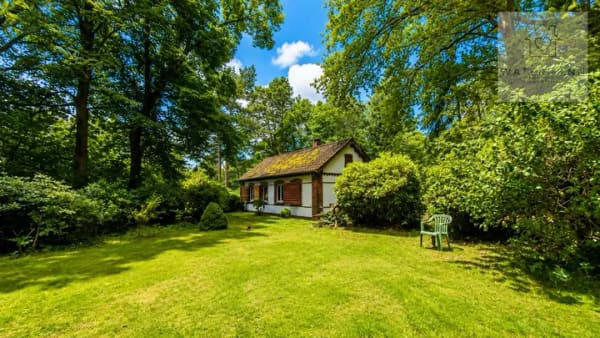 Immobilie in Hanstedt - Ein Stück Freiheit in Hanstedt – Wochenendhaus auf ca. 6.700 m² Naturgrundstück - Bild 4