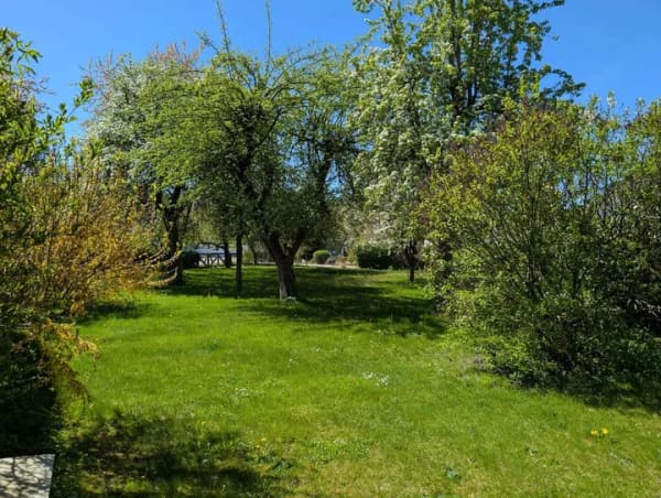 Immobilie in Schwarzenbruck - Landleben pur, Ein-Zweifamilienhaus mit grünem großem  Grundstück - Bild 2
